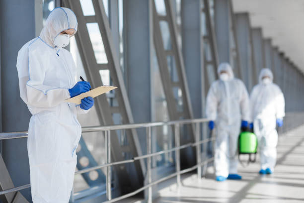 Professional Mold Removal in Breinigsville, PA