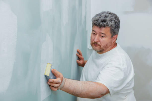Best Post-Construction Mold Inspection  in Breinigsville, PA