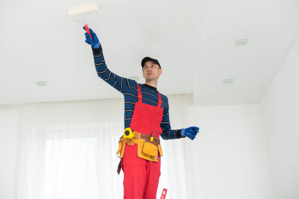 Mold Removal for HVAC Installations in Breinigsville, PA