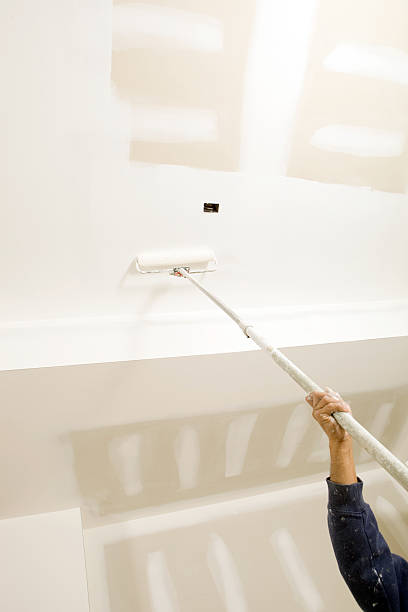 Mold Remediation for Vacation Homes in Breinigsville, PA